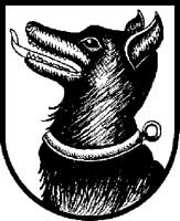 NetObjects Fusion 12.0